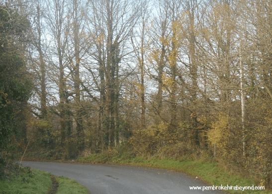 Was it here that the family saw a 6 foot tall apparition? 