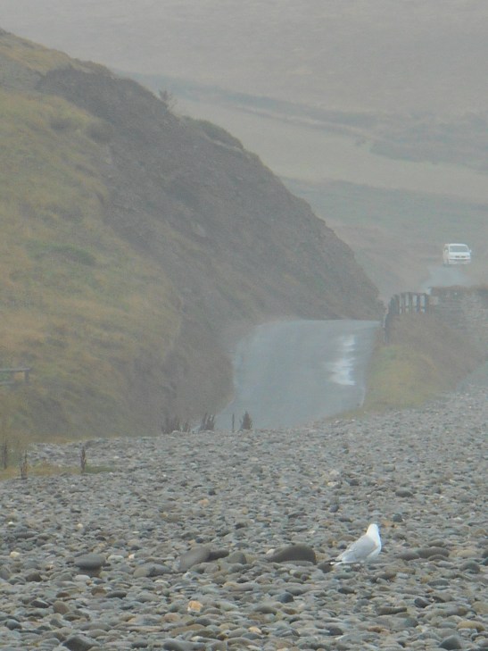 Have motorists seen the ghostly figure of a young man run across the road and vanish into the rock face at Newgale?