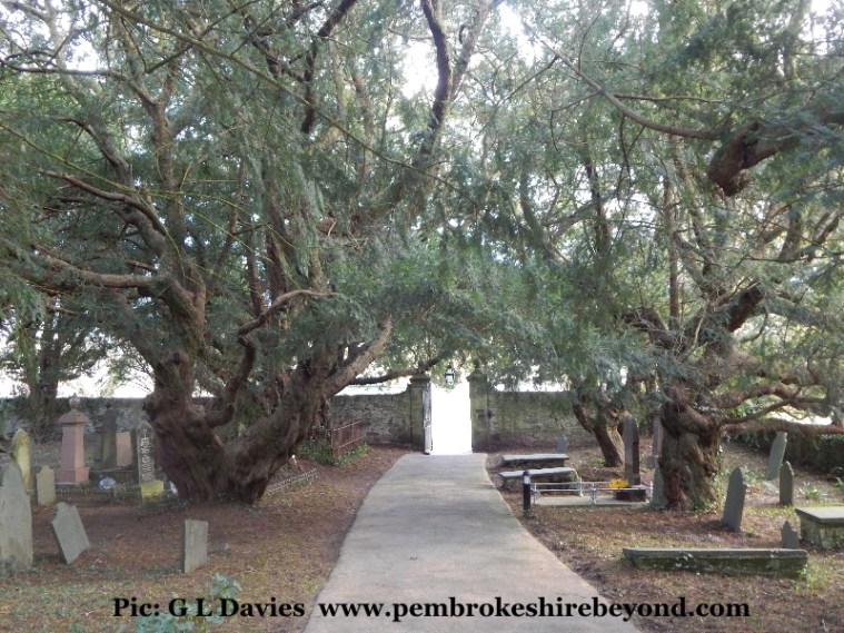 Nevern Church yard. Is the alleged sounds from Children heard laughing and talking from people buried here?